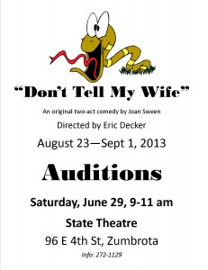 Don't tell my wife audition poster