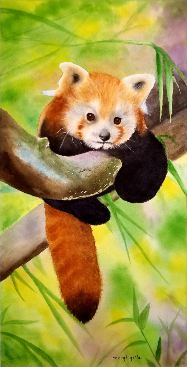 "Little Red Panda" by Cheryl Golla (Watercolor)
